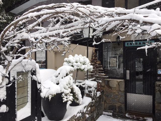 Black Bear Inn Thredbo Zewnętrze zdjęcie